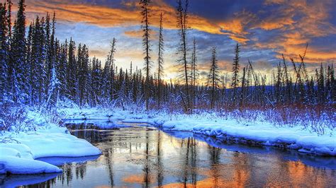 Winter Scenery Orange Clouds Snowy Firs Nice Landscapes Shadows