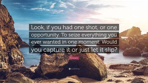Eminem Quote Look If You Had One Shot Or One Opportunity To Seize