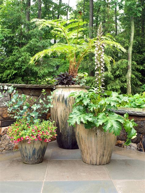 11 Most Essential Container Garden Design Tips Designing A Container Garden Balcony Garden Web