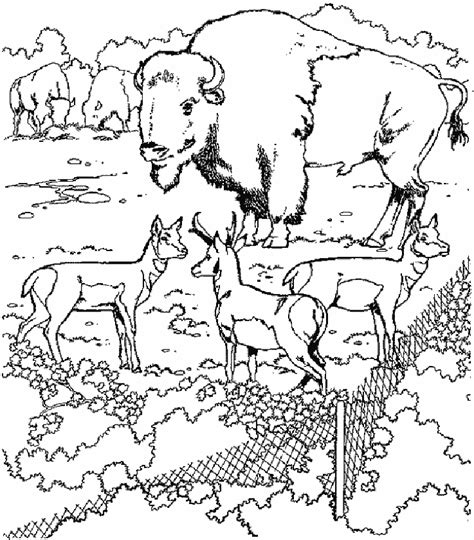 Dierentuin