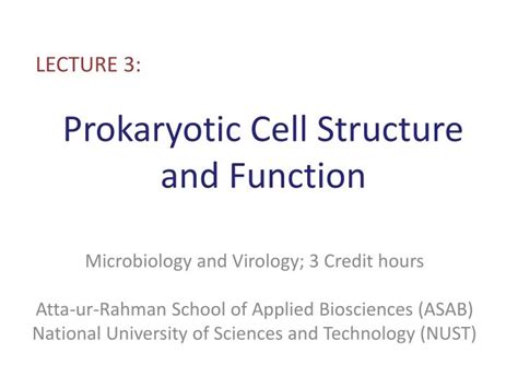 Ppt Prokaryotic Cell Structure And Function Powerpoint Presentation