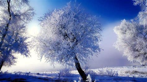 Winter Wallpapers Scenes - Wallpaper Cave