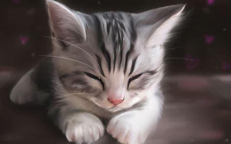Cat Animals Artwork Drawing Kittens Sleeping
