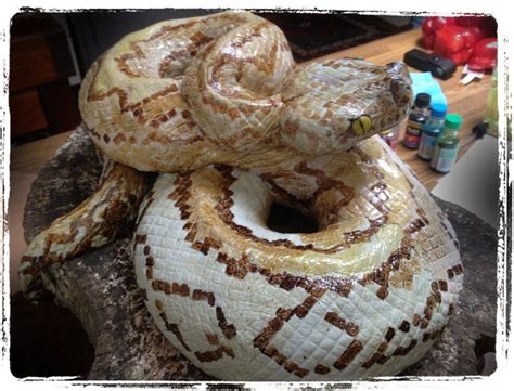 17 Best images about Snake cake ideas on Pinterest | Fondant toppers