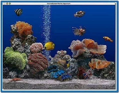 Marine Fish Screensaver Mac Download Screensaversbiz