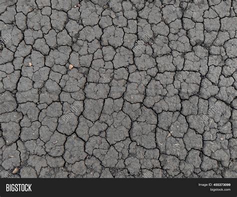 Dry Cracked Soil Image And Photo Free Trial Bigstock