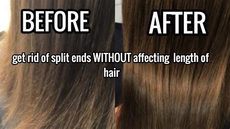 How To Get Rid Of Split Ends Without Affecting Length Youtube