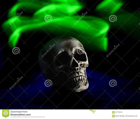 Isolated Human Skull Stock Image Image Of Remains Spooky 97772219