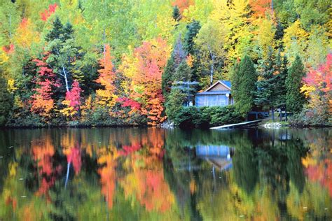 Peak Fall Foliage Season Arrives In Northern Maine Newsradio Wgan