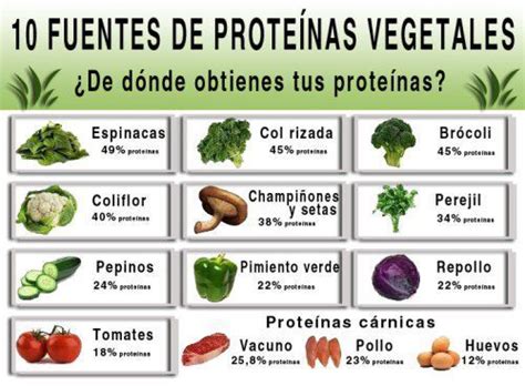 Las proteínas podemos obtenerlas mediante la para que las proteínas tengan el efecto deseado, sin complicaciones adicionales o efectos adversos las clases de batidos de proteínas más comunes. The 25+ best Alimentos origen vegetal ideas on Pinterest