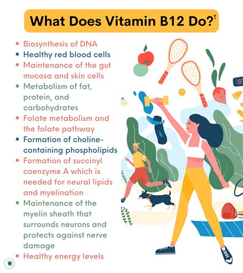 The Ultimate Guide To Vitamin B12 Forms Benefits Supplements
