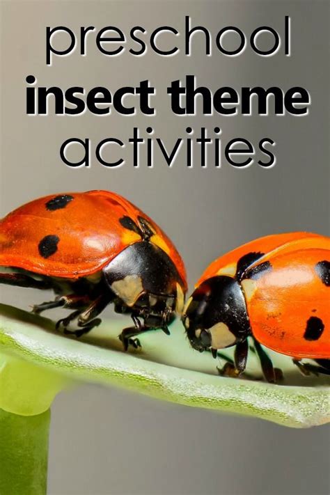 Insect Theme Preschool Activities - Fantastic Fun & Learning | Insects