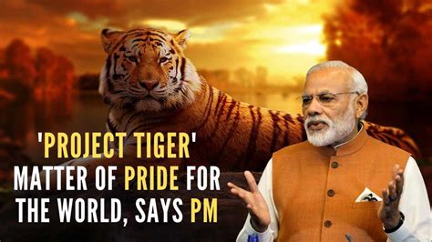 Project Tiger Matter Of Pride For Whole World Says Pm Modi