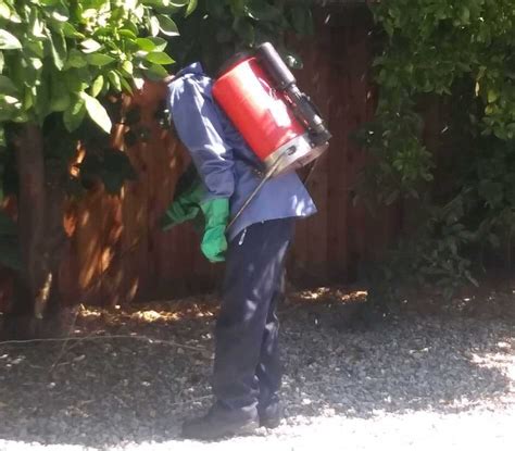 Maybe you would like to learn more about one of these? Pest Control Services in and near Menifee, Clifornia