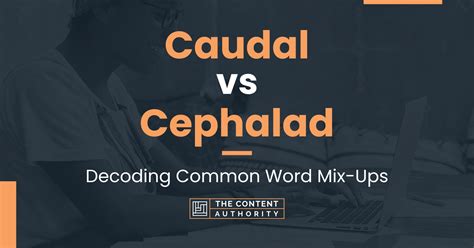 Caudal Vs Cephalad Decoding Common Word Mix Ups