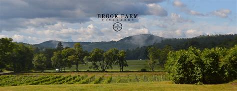 Brook Farm From 19th Century Model Farm To Ultra Boutique Vineyard