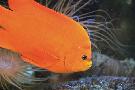 Manhattan Beach – Stephanie Pacheco