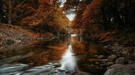 Fall In The River In Autumn Trees Forest 4k Hd Nature Wallpapers Hd Wallpapers Id 41588