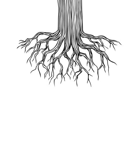 Tree Roots Illustration Google Search Roots Drawing Tree Of Life