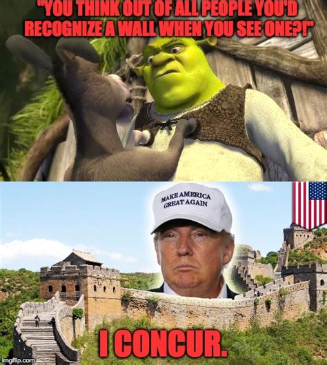 Yeah Shrek Whats Up With Your Lack Of Recognizing A Wall