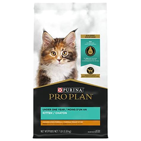 15 Best Kitten Foods For Diarrhea