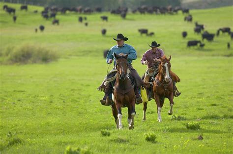 Two Cowboys On Horseback Riding In Photograph By John P Kelly Pixels