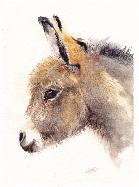 Donkey Foal Head Study Original Watercolour By Barningham511 On Etsy