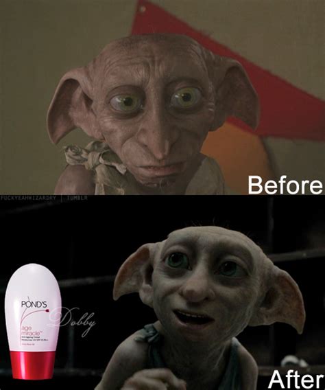 Funny Dobby Quotes Quotesgram
