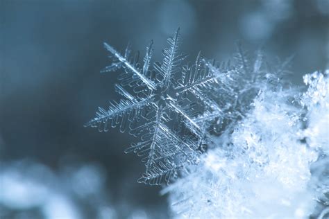 Nature Snowflake Hd Wallpaper By Cosmin Anghel