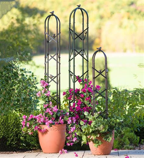 Use This Attractive Metal Garden Obelisk To Support Climbing Vines Or