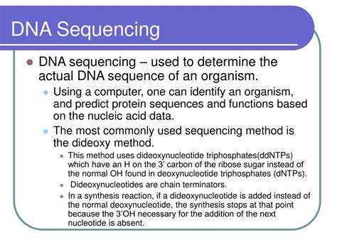 Ppt Dna Sequencing Powerpoint Presentation Free Download Id395701