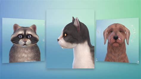 Sims 4 Cats And Dogs Game