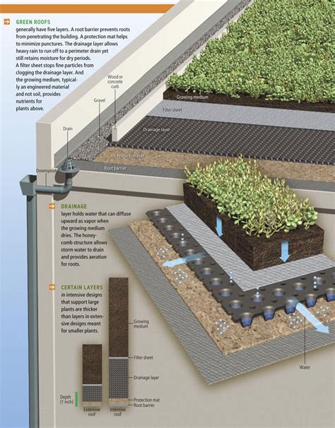 How It Works Green Roof Green Architecture Roof Work