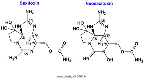 Saxitoxin Og Neosaxitoxin