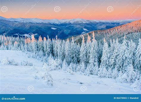 Fantastic Winter Landscape Magic Sunset In The Mountains A Frosty Day