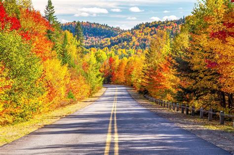 where to see the best fall leaves in the u s