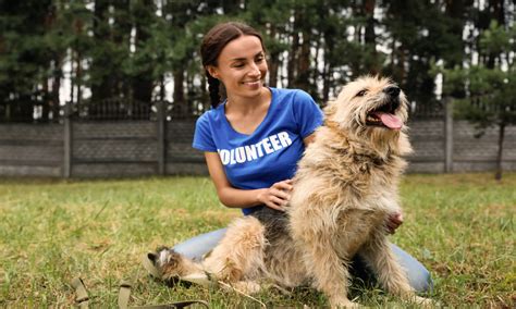 How To Recruit Volunteers For Your Animal Related Nonprofit Top
