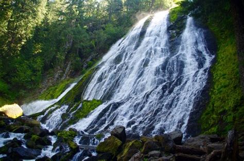 Diamond Creek Falls Loop Hike Hiking In Portland Oregon And