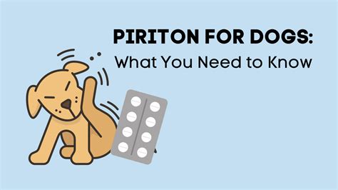 Piriton For Dogs What You Need To Know Household Pets
