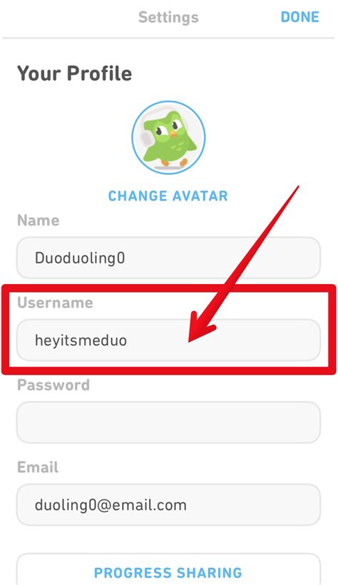 What Is My Username Duolingo Help Center