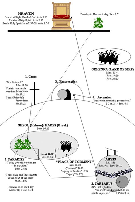 Genesis 61 7