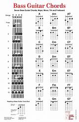 Bass Guitar For Beginners Pdf Pictures
