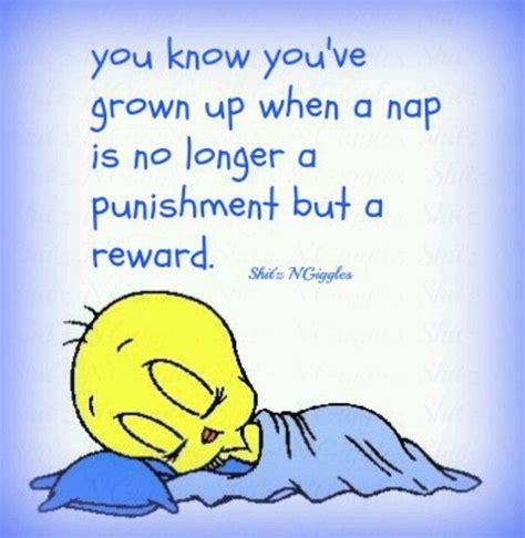 Nap Time Funny Quotes Nap Life Quotes Tweety Bird Quotes