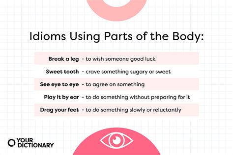 20 Common Idioms Using Body Parts YourDictionary