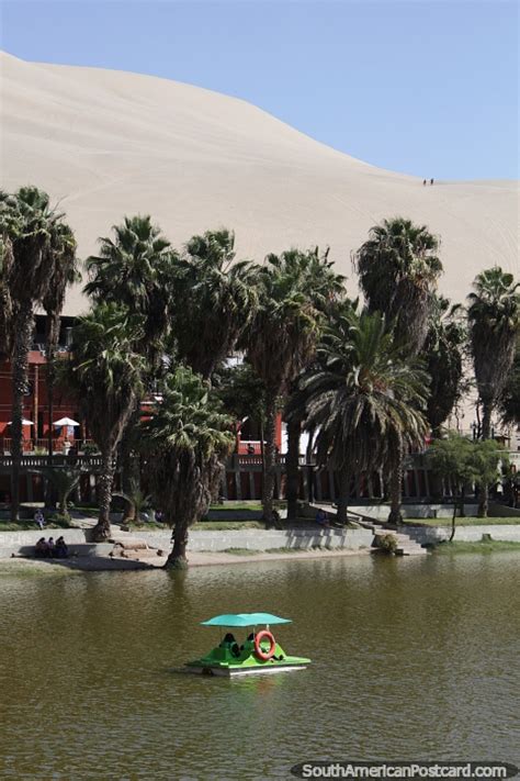 Huacachina Lagoon Just 15mins From The City Of Ica Photo From Peru