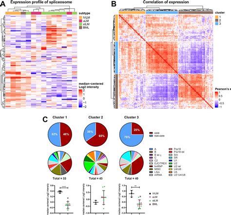 A Heatmap Depicting Unsupervised Hierarchical Clustering Of 116