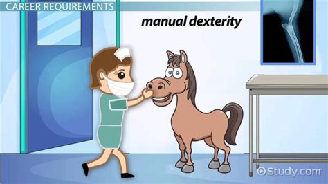 Being admitted to the profession of veterinary medicine, i solemnly swear to use my scientific knowledge and skills for the benefit of society through the protection of animal health, the relief of animal suffering, the conservation of livestock resources, the promotion of public health, and the advancement of medical knowledge. Veterinarian (Equine): How Does One Become an Equine ...