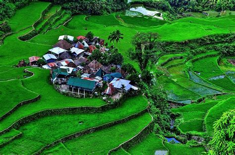 Village At The Bangaan Rice Terraces In Ifugao Rice Terraces Beautiful Places Village