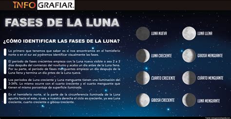 Fases De La Luna Infografiar