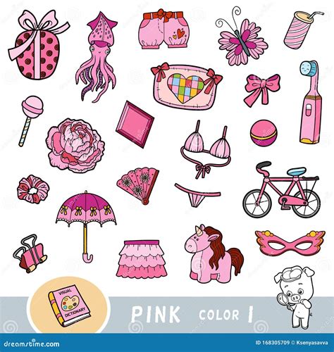 Conjunto Colorido De Objetos De Color Rosa Diccionario Visual Para